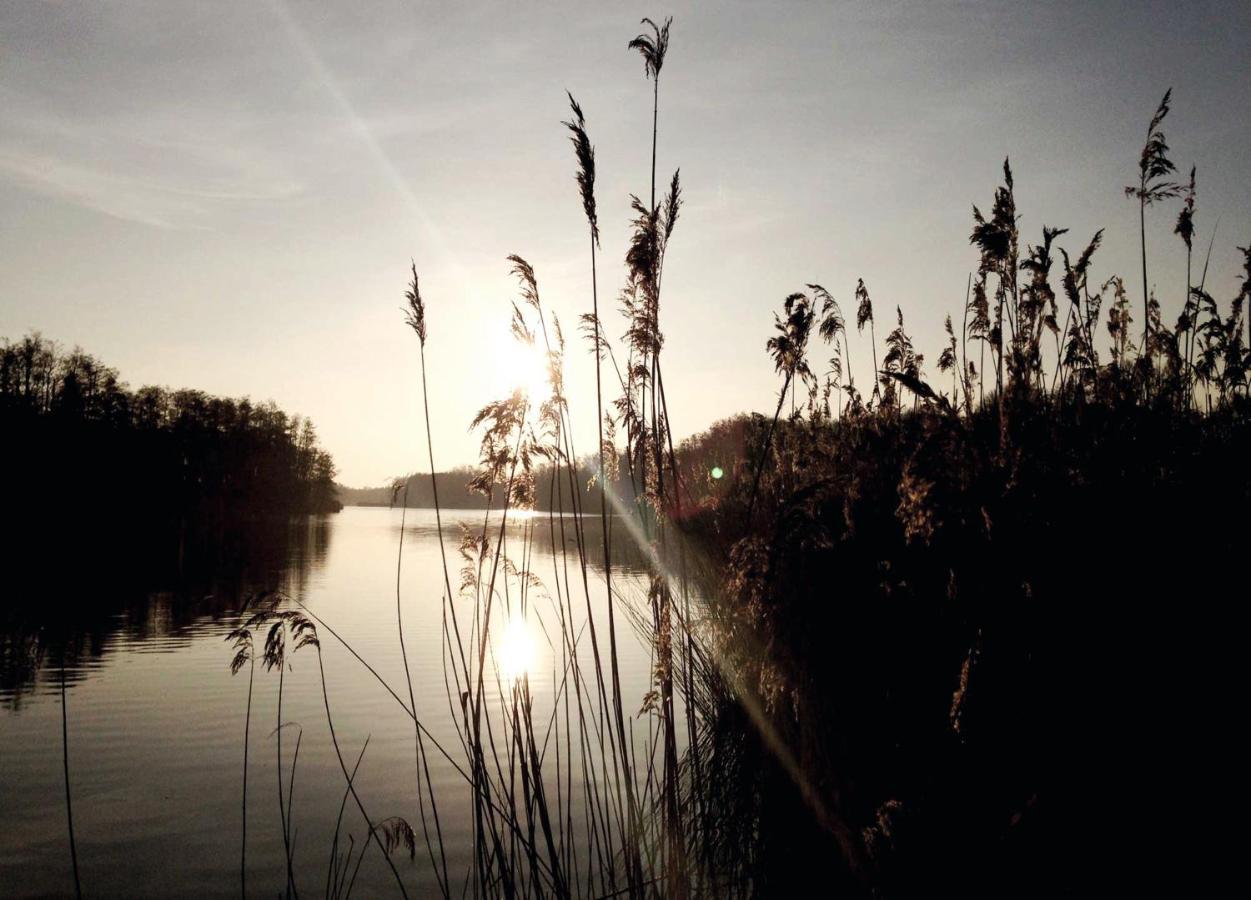 Relais & Chateaux Gutshaus Stolpe Hotel Stolpe an der Peene ภายนอก รูปภาพ